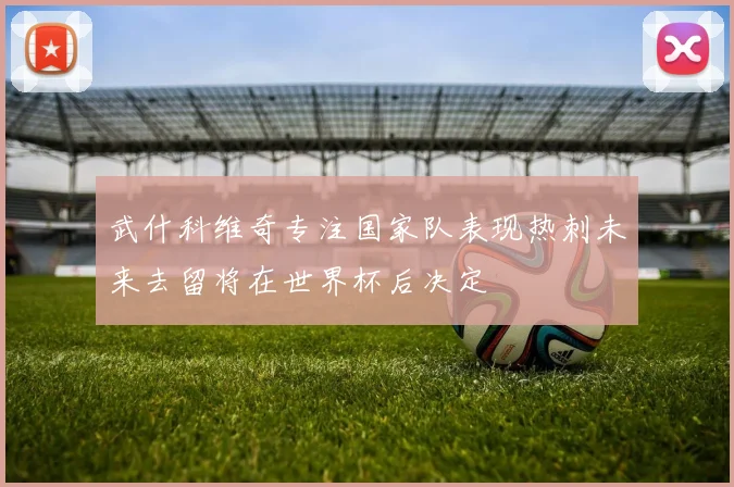 武什科维奇专注国家队表现热刺未来去留将在世界杯后决定