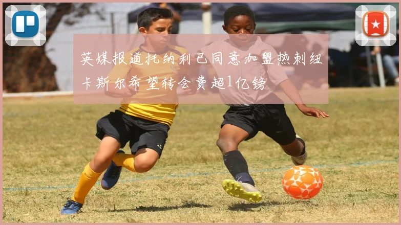 英媒报道托纳利已同意加盟热刺纽卡斯尔希望转会费超1亿镑